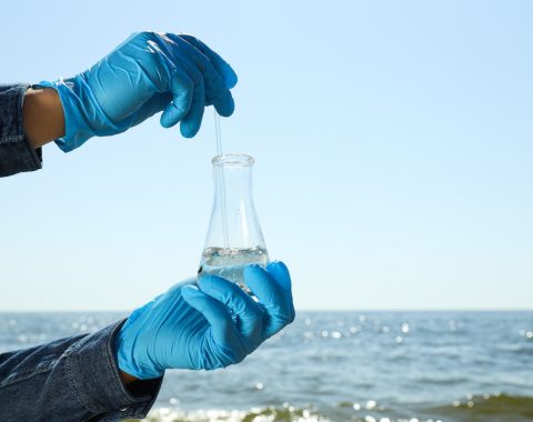 A test tube with river water in hands in blue gloves