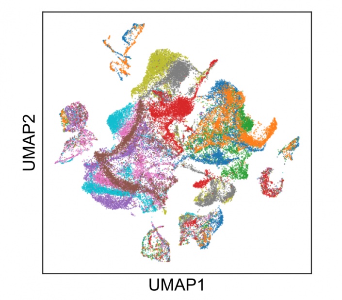 Identifying Genes involved in Human Fertility and Germ Cell Development